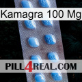Kamagra 100Mg viagra3